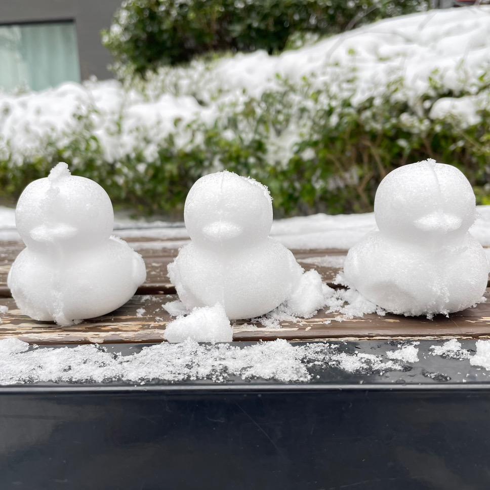 不减20斤不改名字