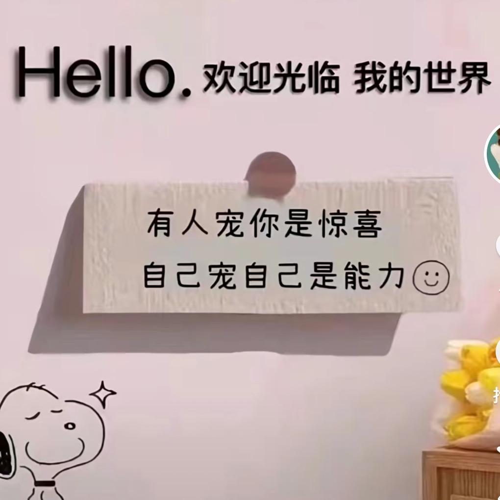 宠你小店