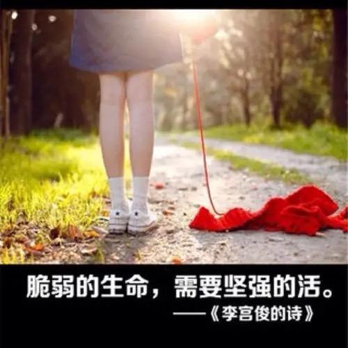 安季卡