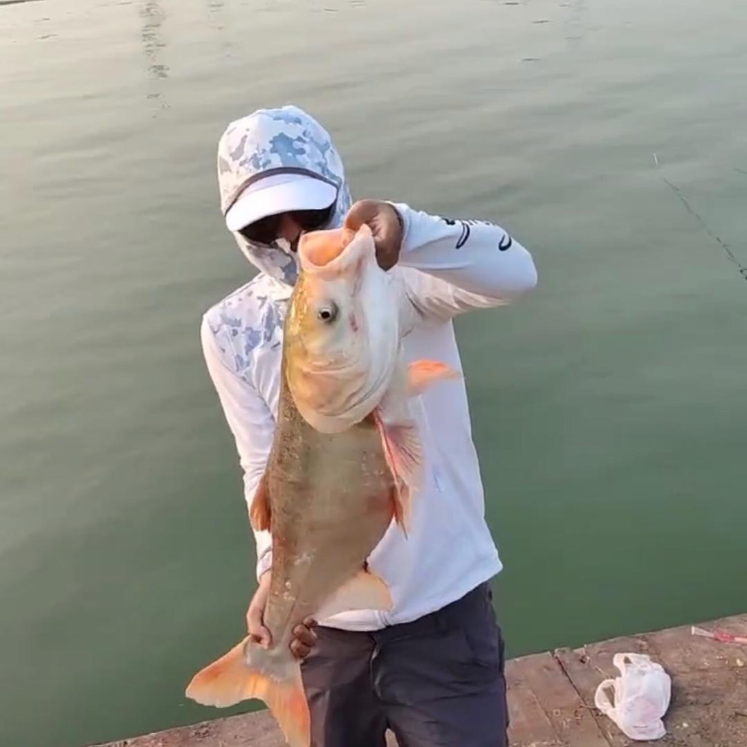 🎣钓鱼爱好者🎣