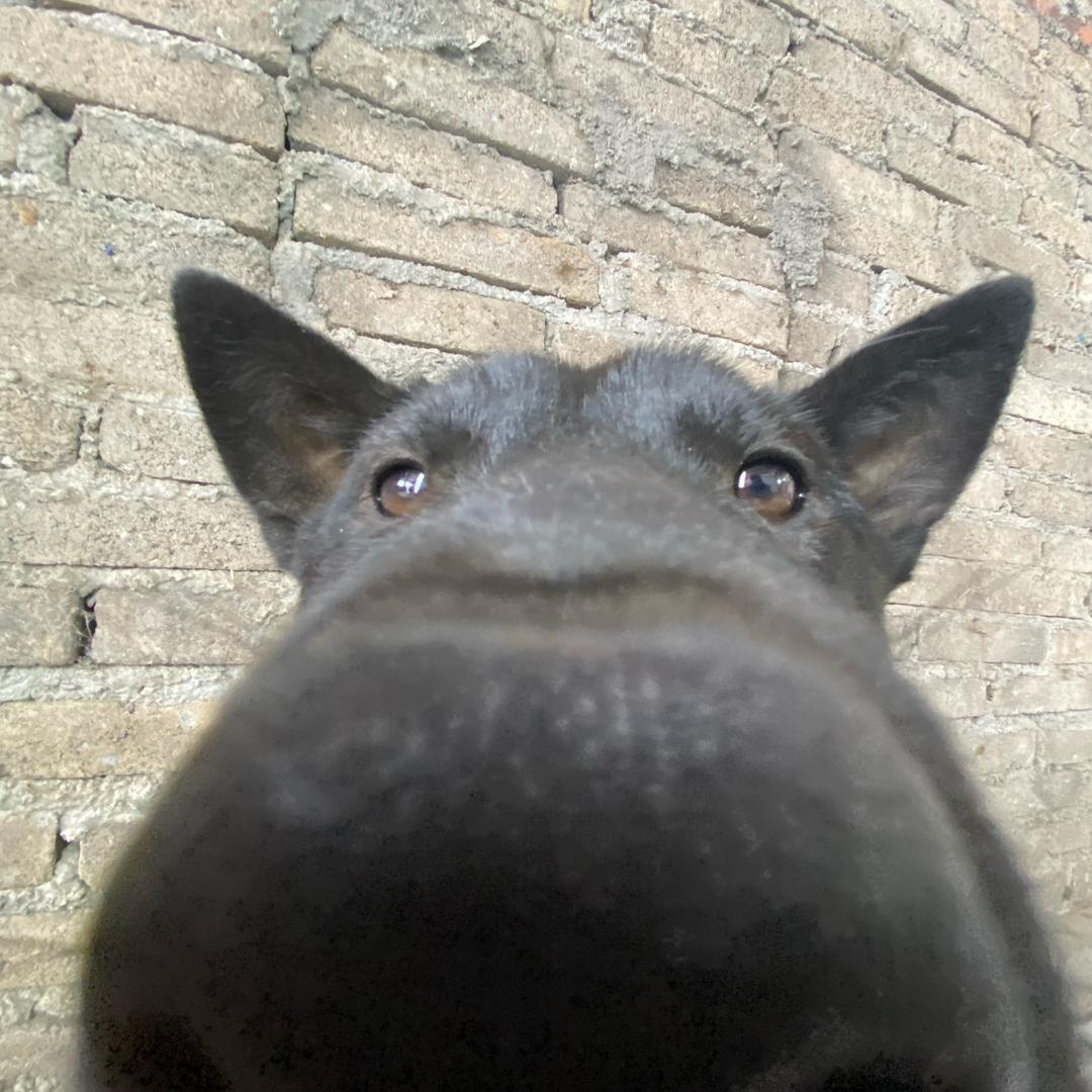 离婚后看淡了很多