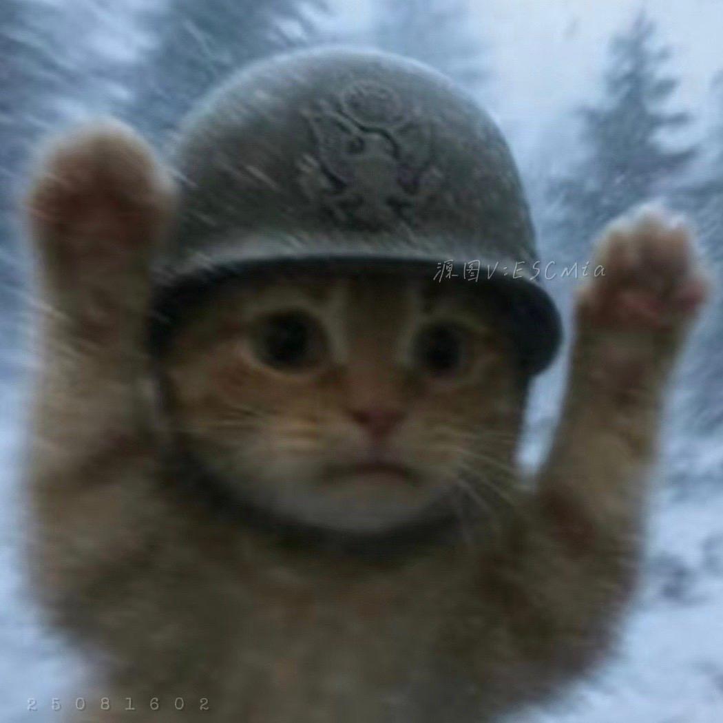 达咩.