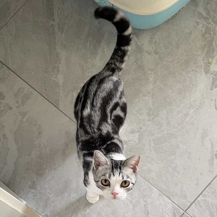 A,        男儿当自强,,