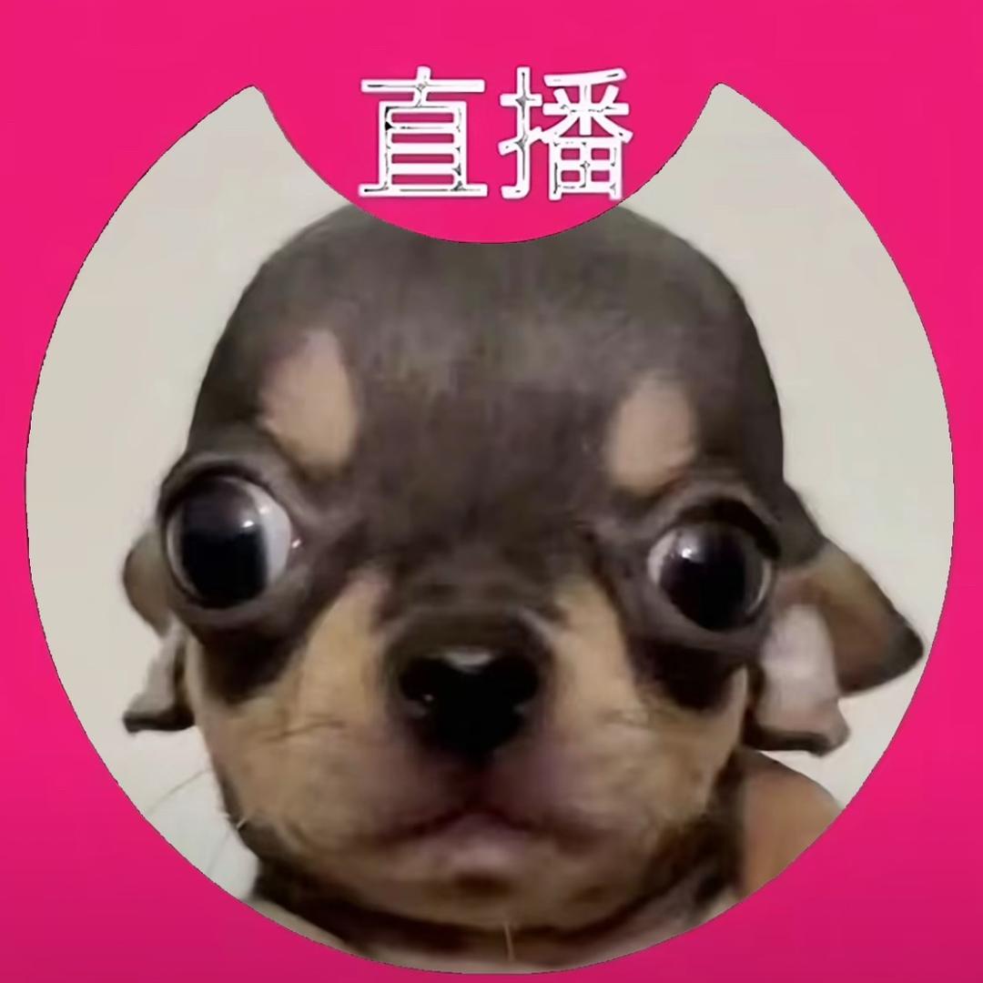 被剪刀修骗到多人世界虐恋为其诞下一子