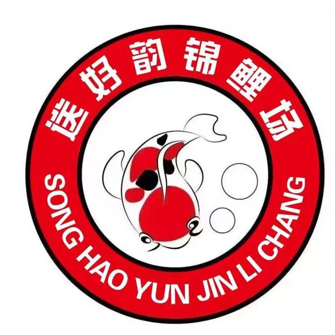 宋好运锦鲤