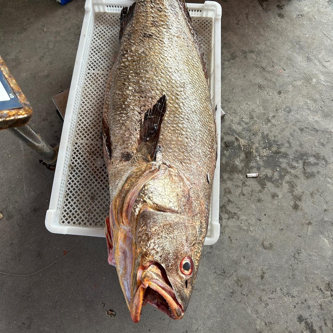 本港海鲜