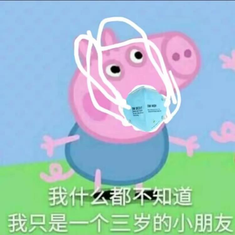 阳老登