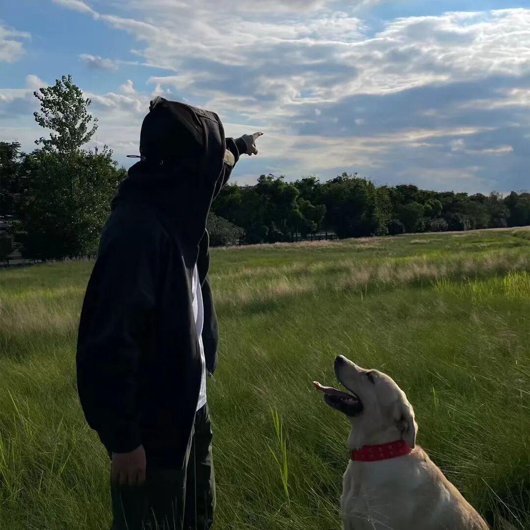 风又止