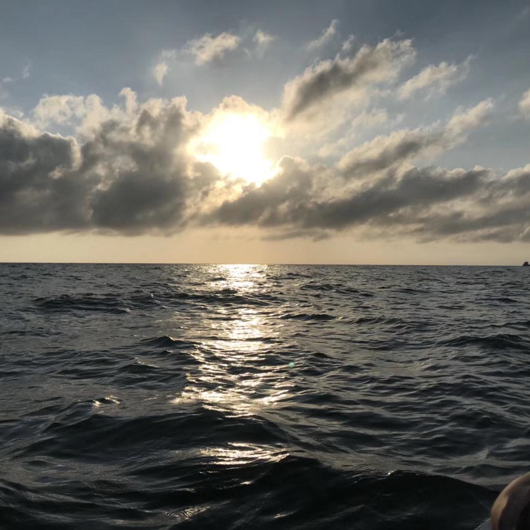 宜春信戴…杨经理