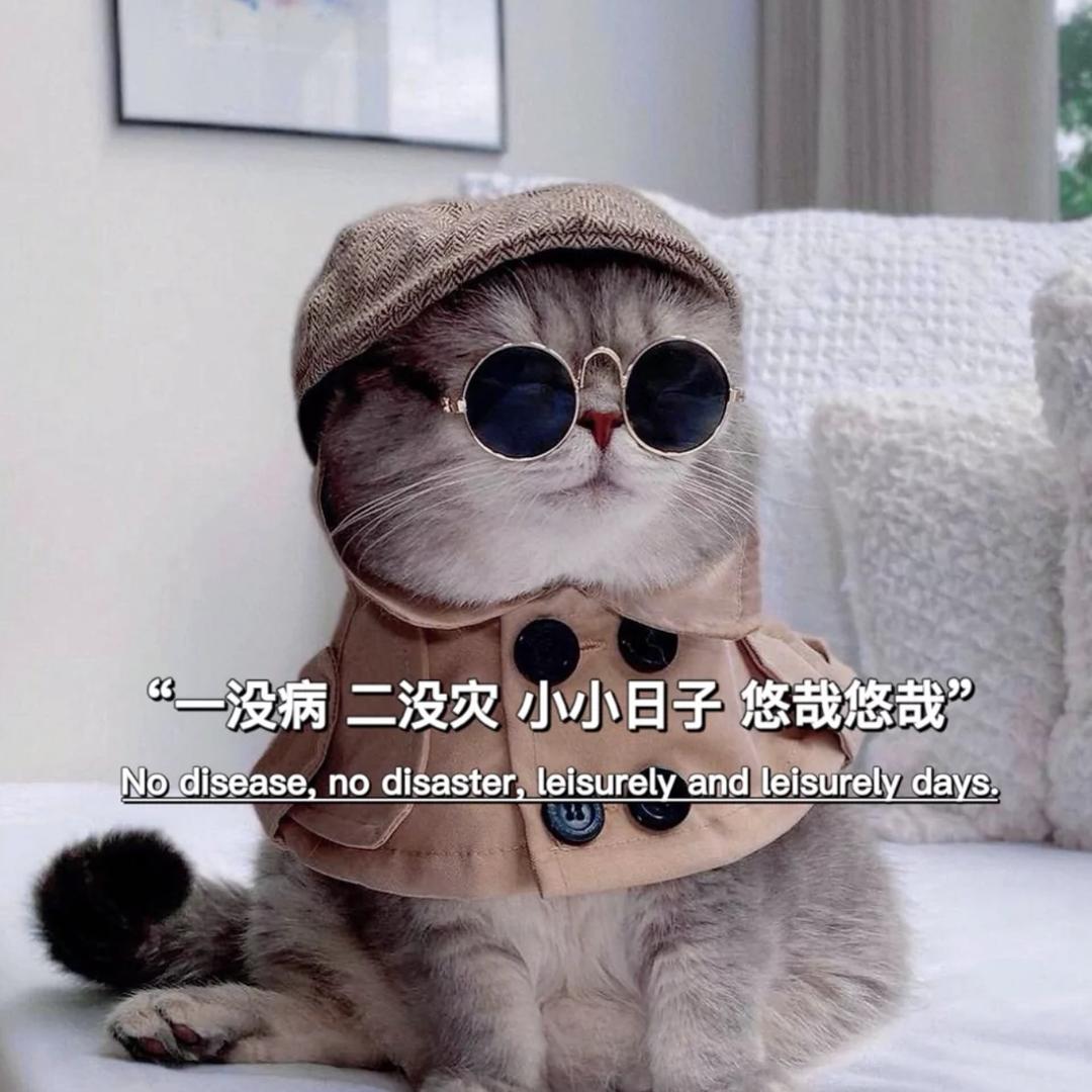 韩小北是只喵🐱