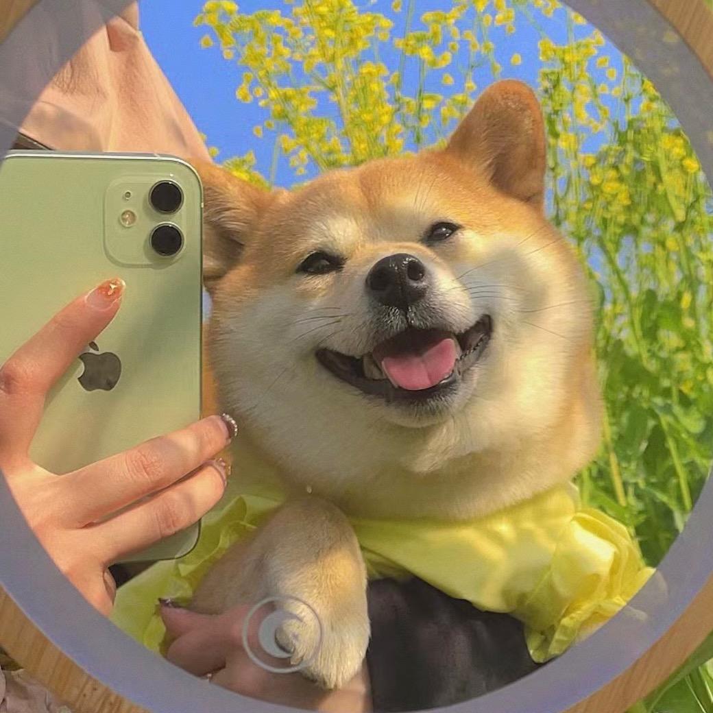 爱吃巧克力的🐟