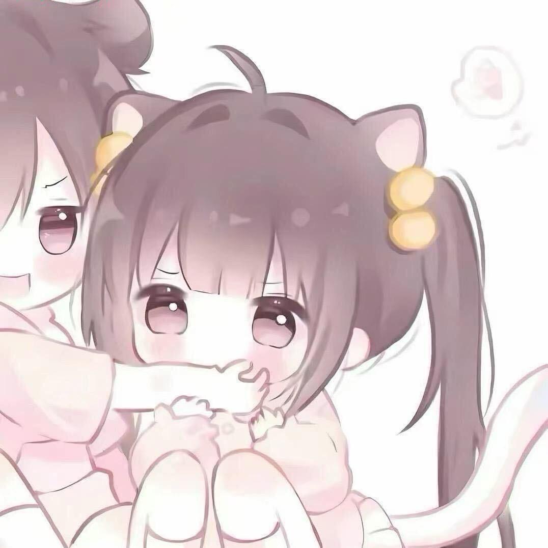奶油兔兔🐾/ᐠ - ˕ -マ Ⳋ