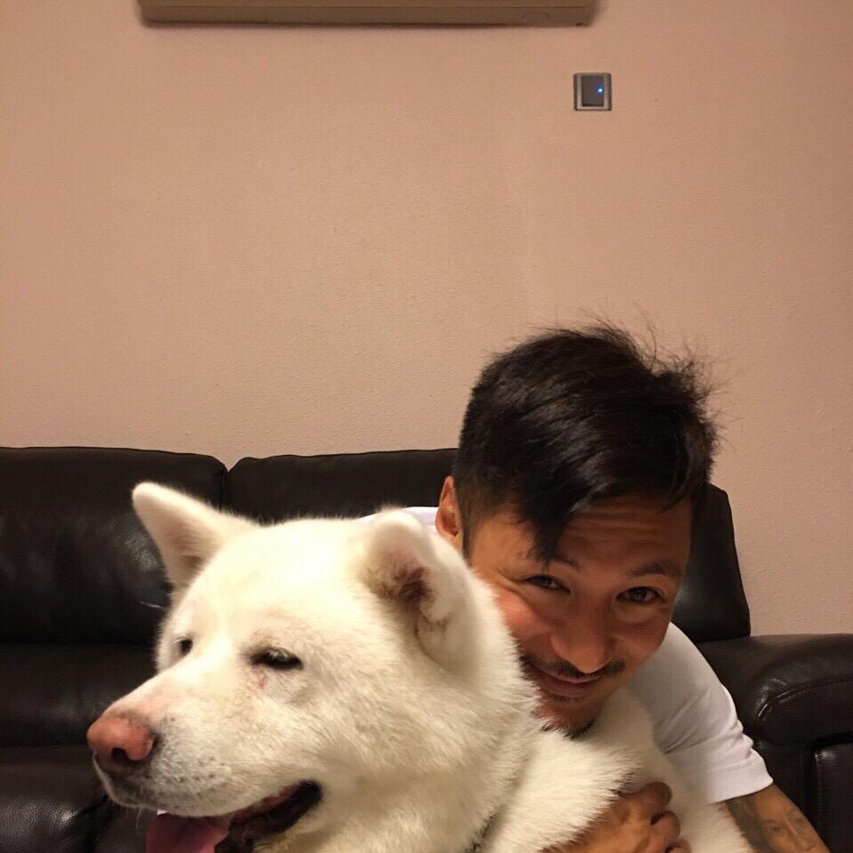 爱吃辣椒炒肉.