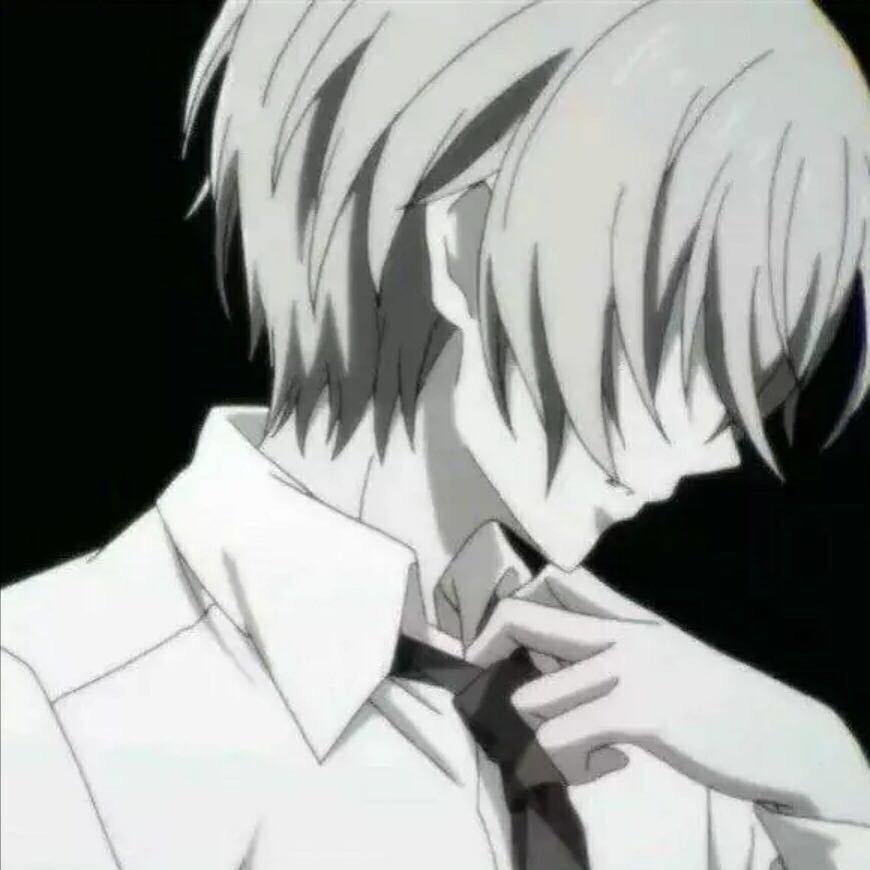 哈士奇
