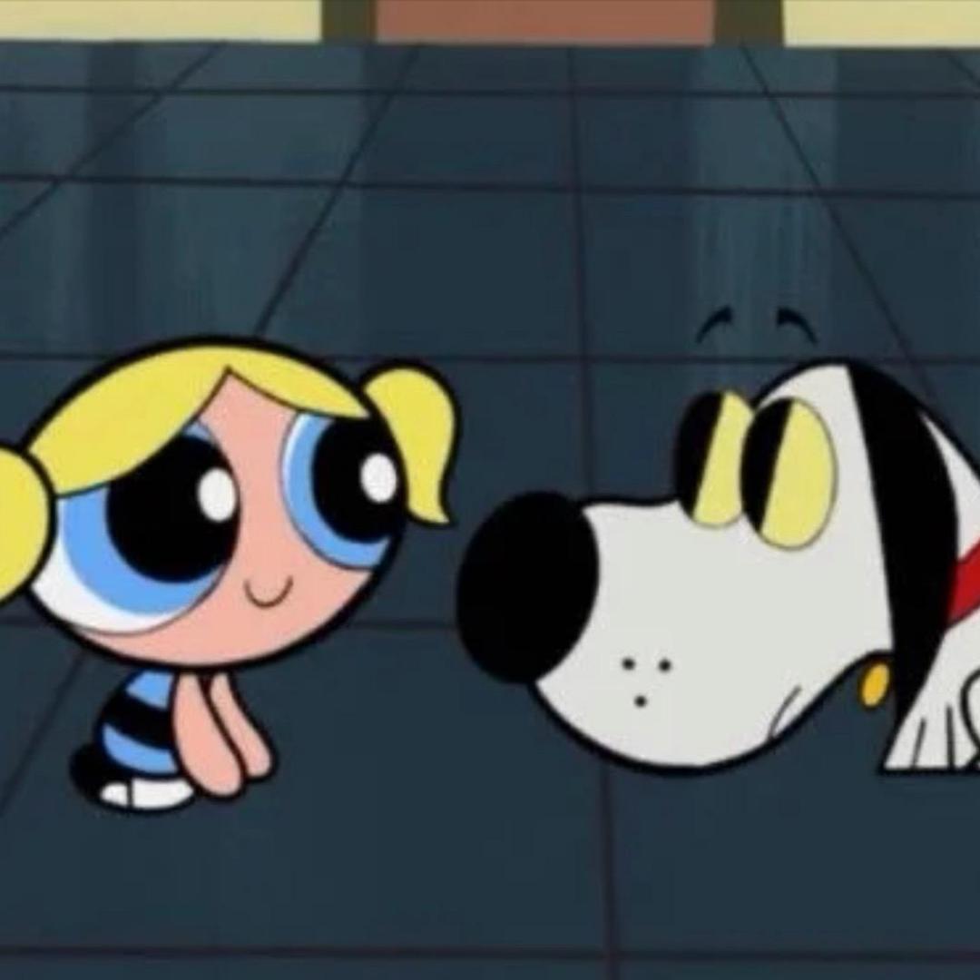 ૮ • ·̫ •̥ ა