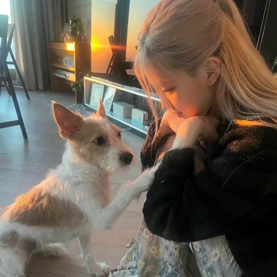 🍰🦐🍡🥨🍪🍢🧋