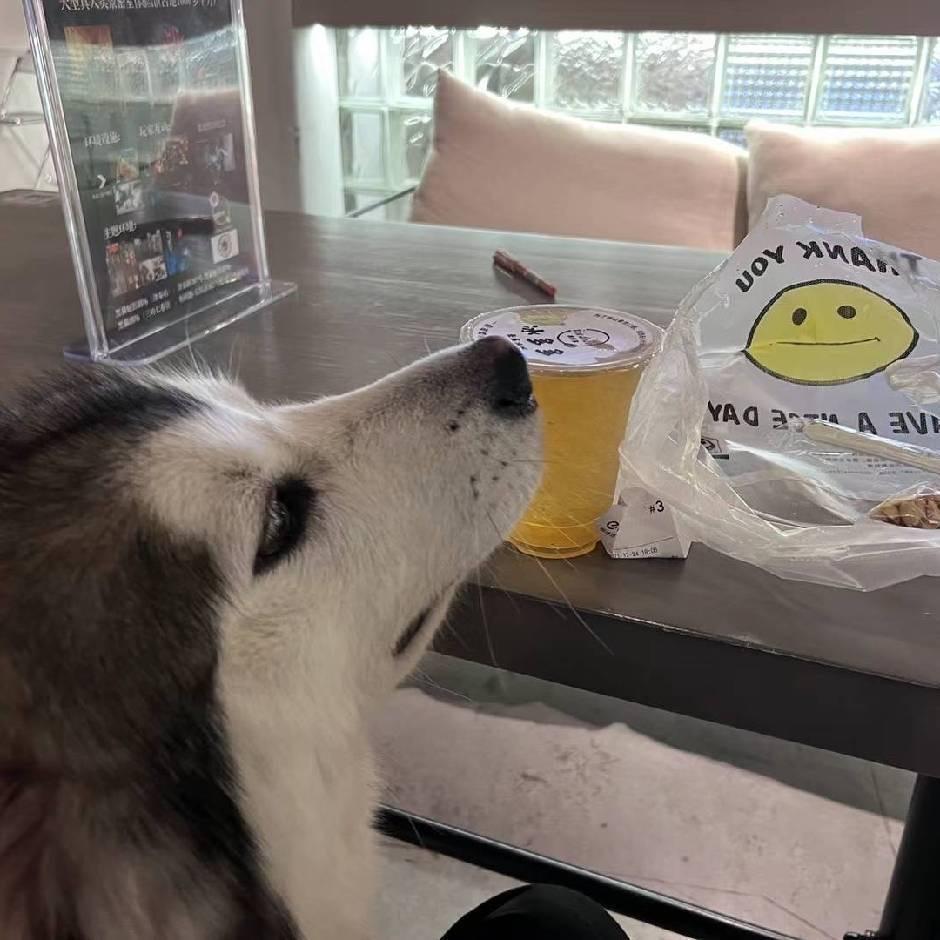 鼠鼠7不饱