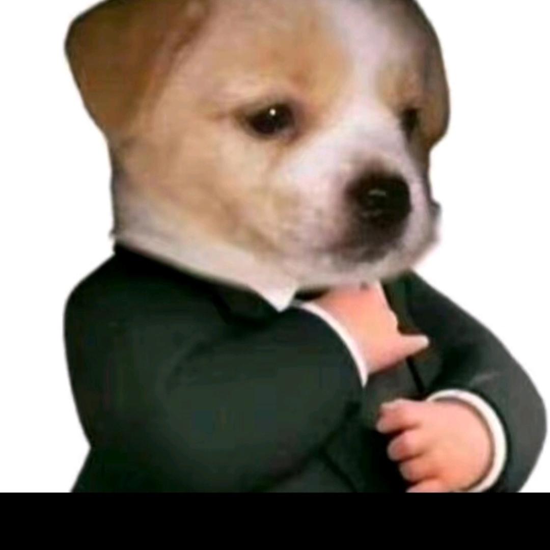 ͏͏͏ ͏米哈哈