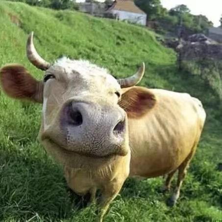 上海共励不锈钢板拉丝厂