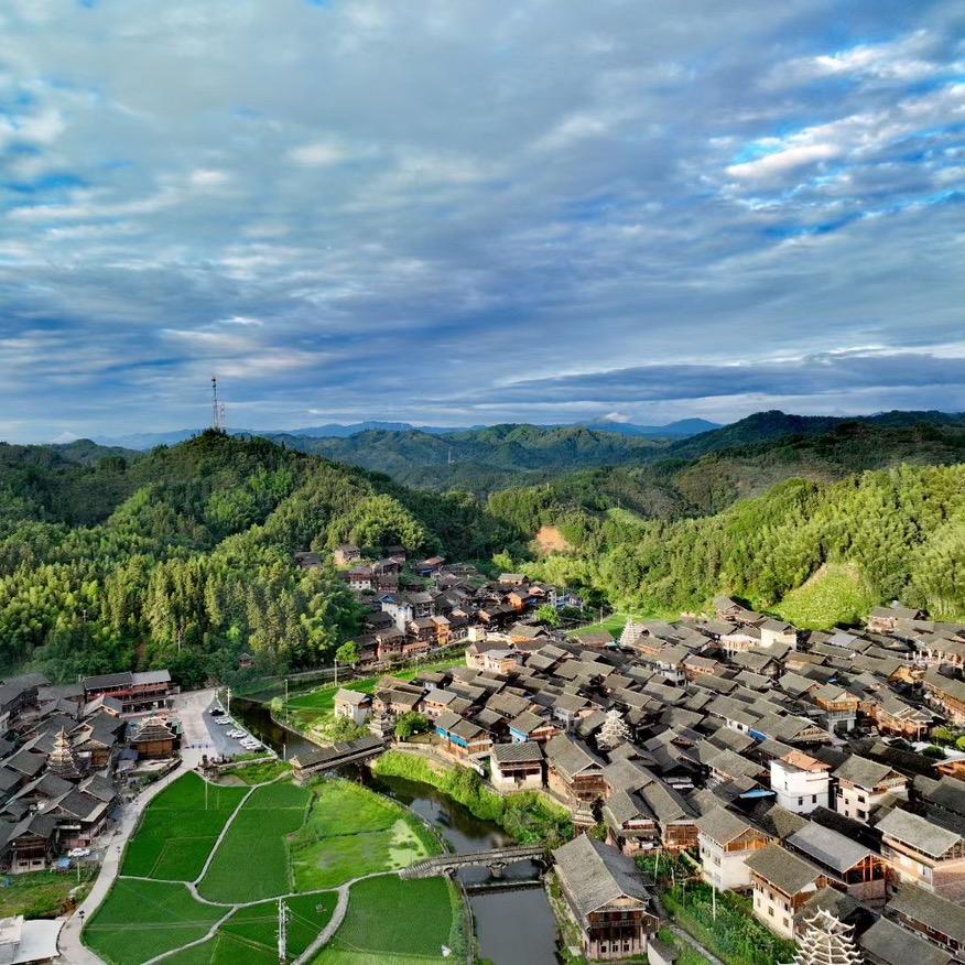 小龙水果
