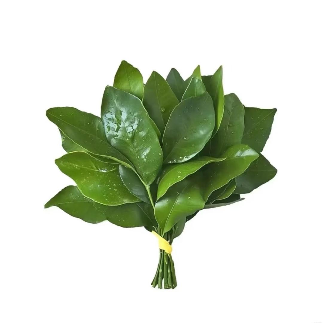 小小蛇皮袋