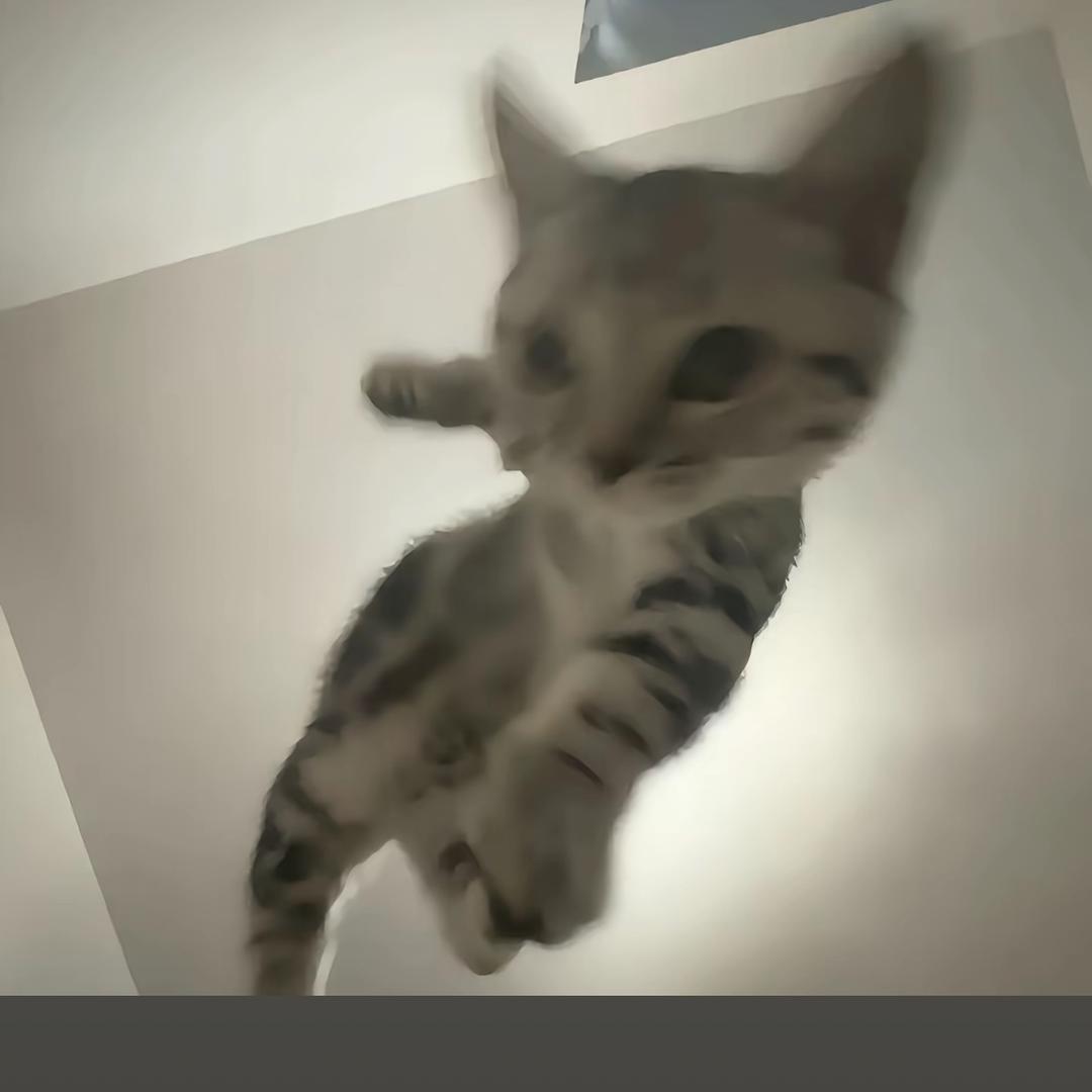 aaaamimi
