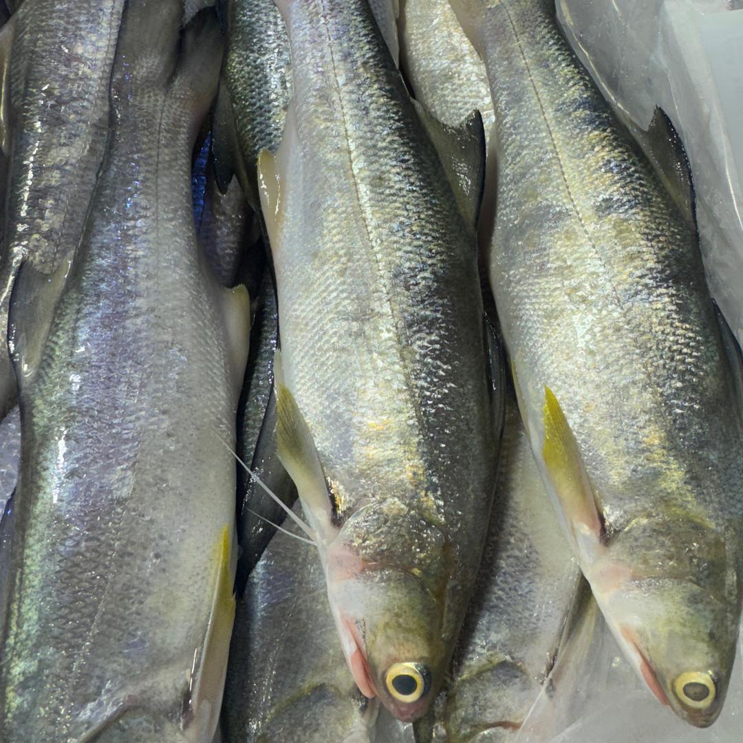 厦门夏商国际水产交易中心