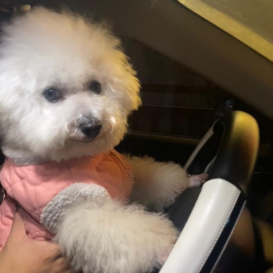 👩‍👧‍👧乐宝