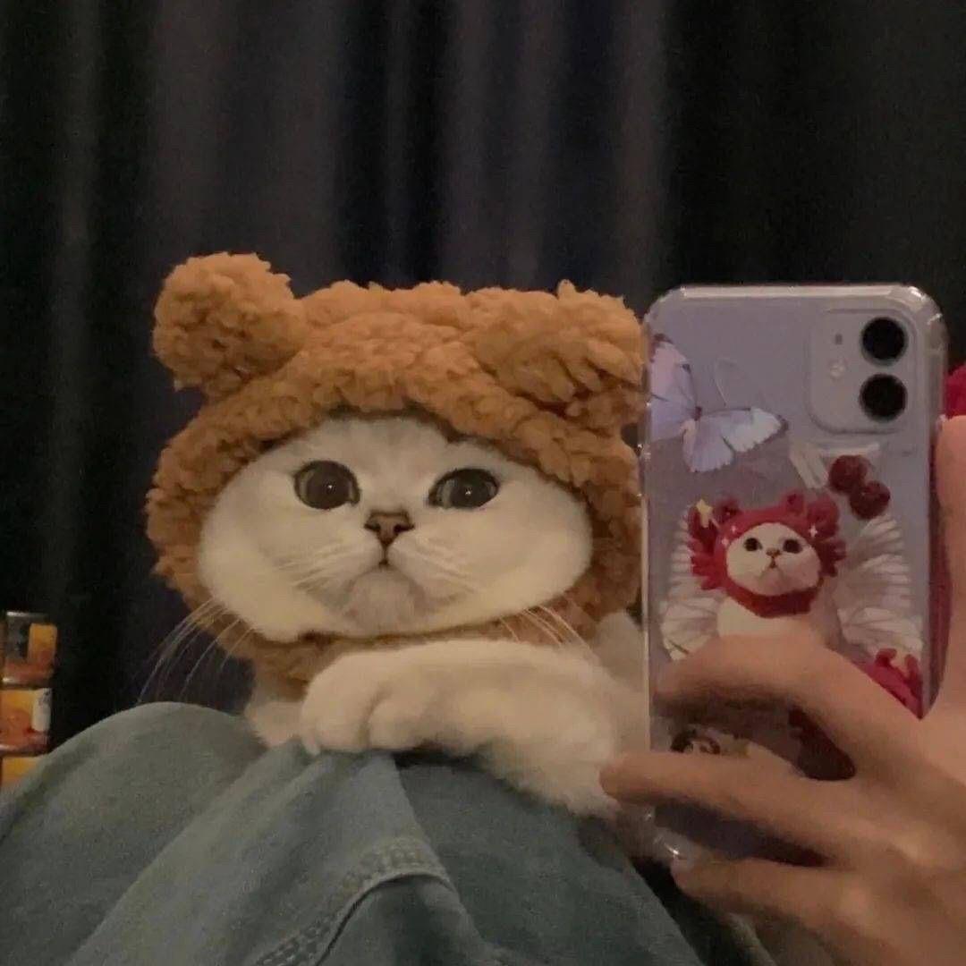 奶茶pai