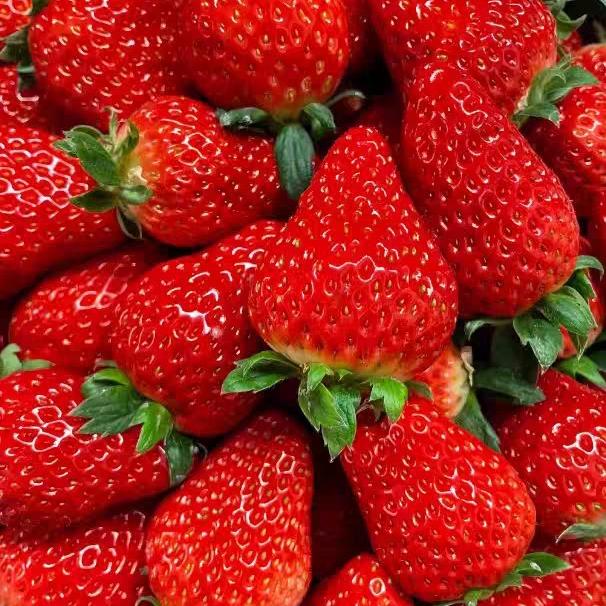 中赤水果旗舰店