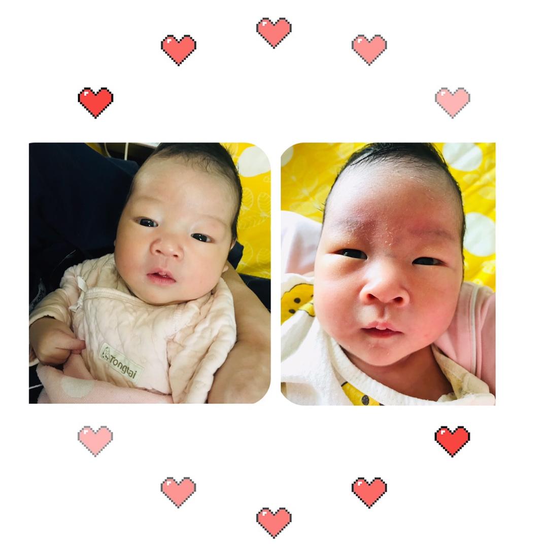 🍭Z抹茶哥和葡萄妹🍬