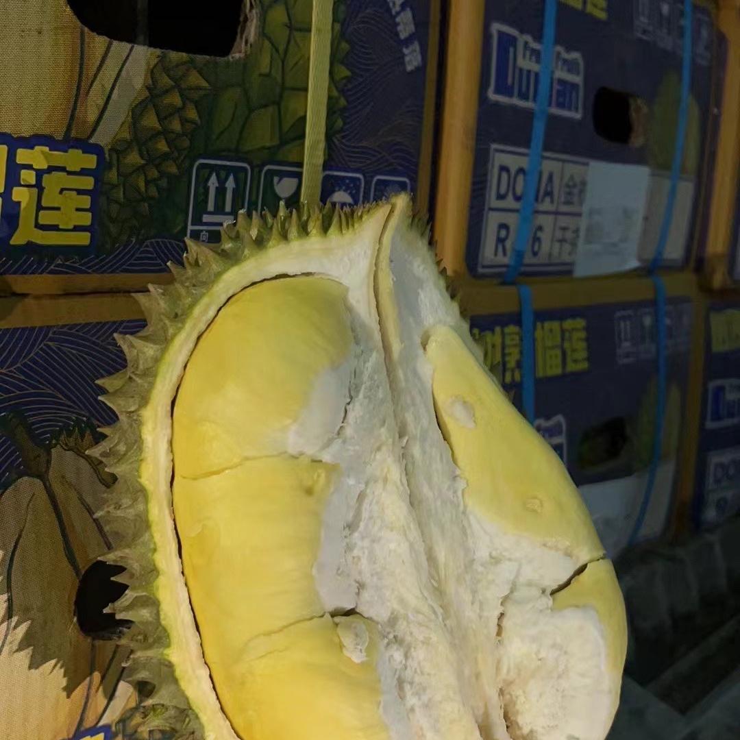 悟空榴莲水果小时达