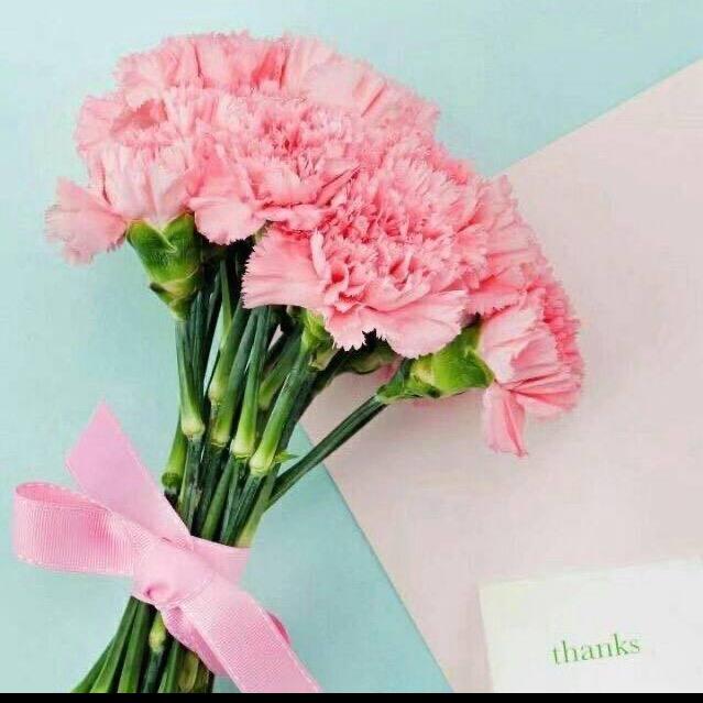 初遇🌺【甜米酒】