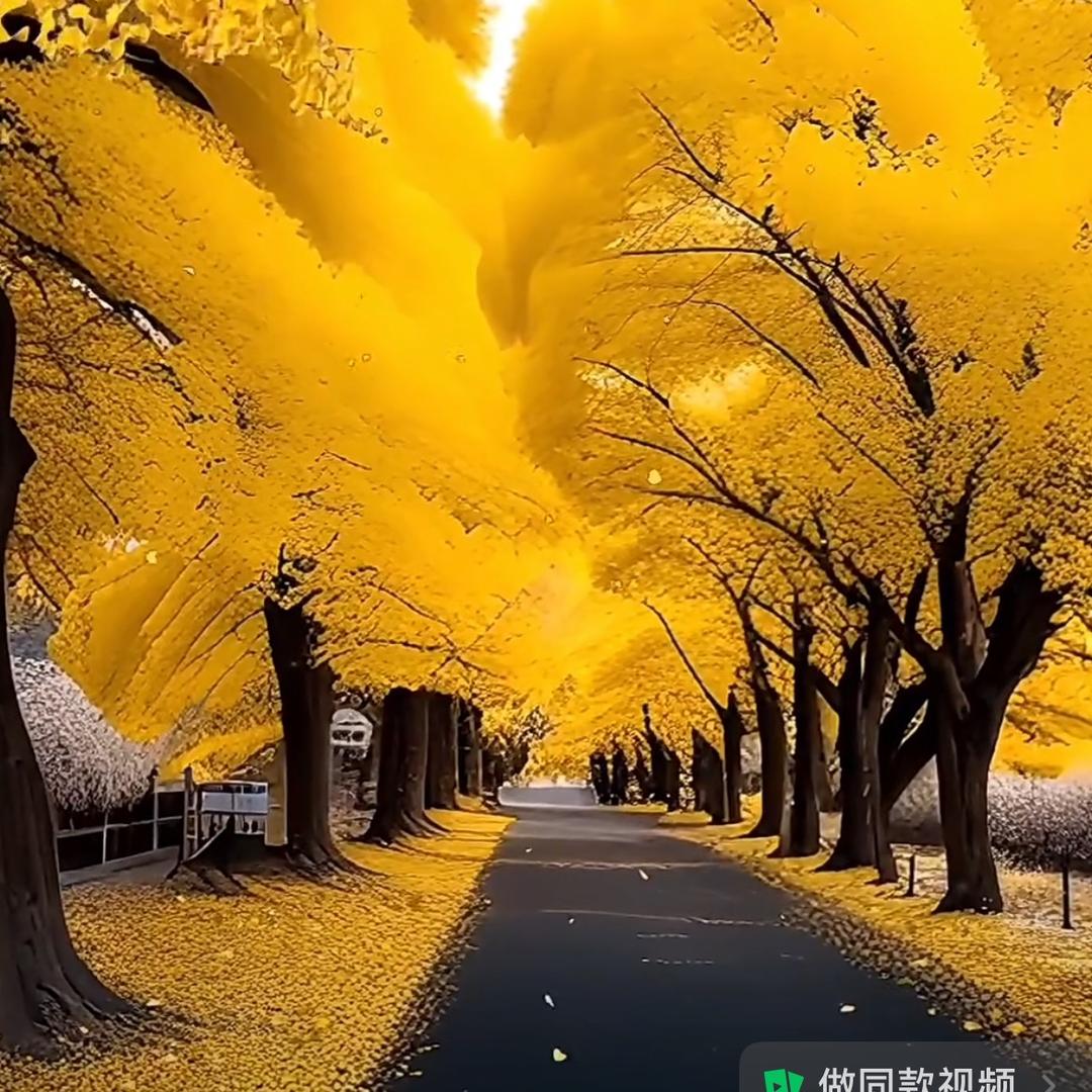 亿佳全屋定制加工厂