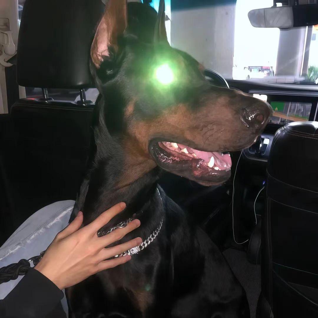 👻