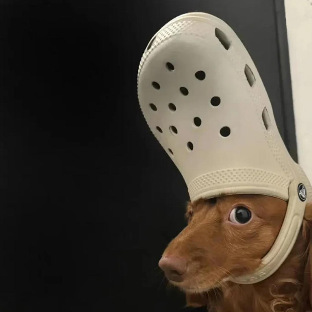 张鑫强