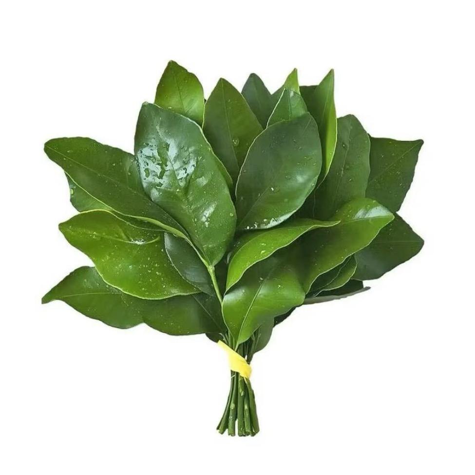 33