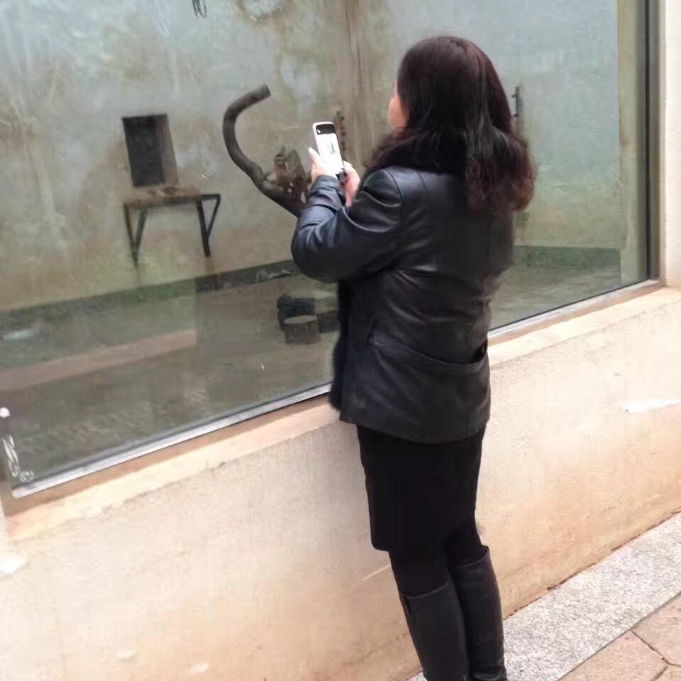 CC文化传媒