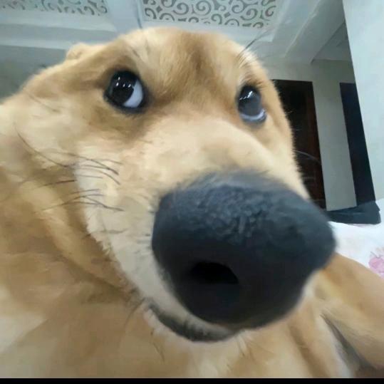 e.