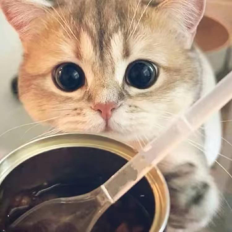 狂踹瘸子那条 好腿