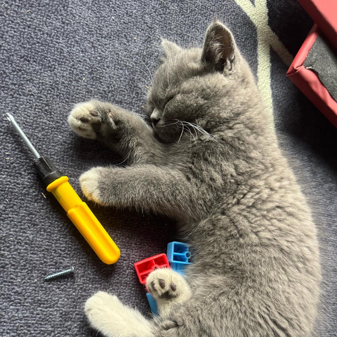 东镇G30台球麻将