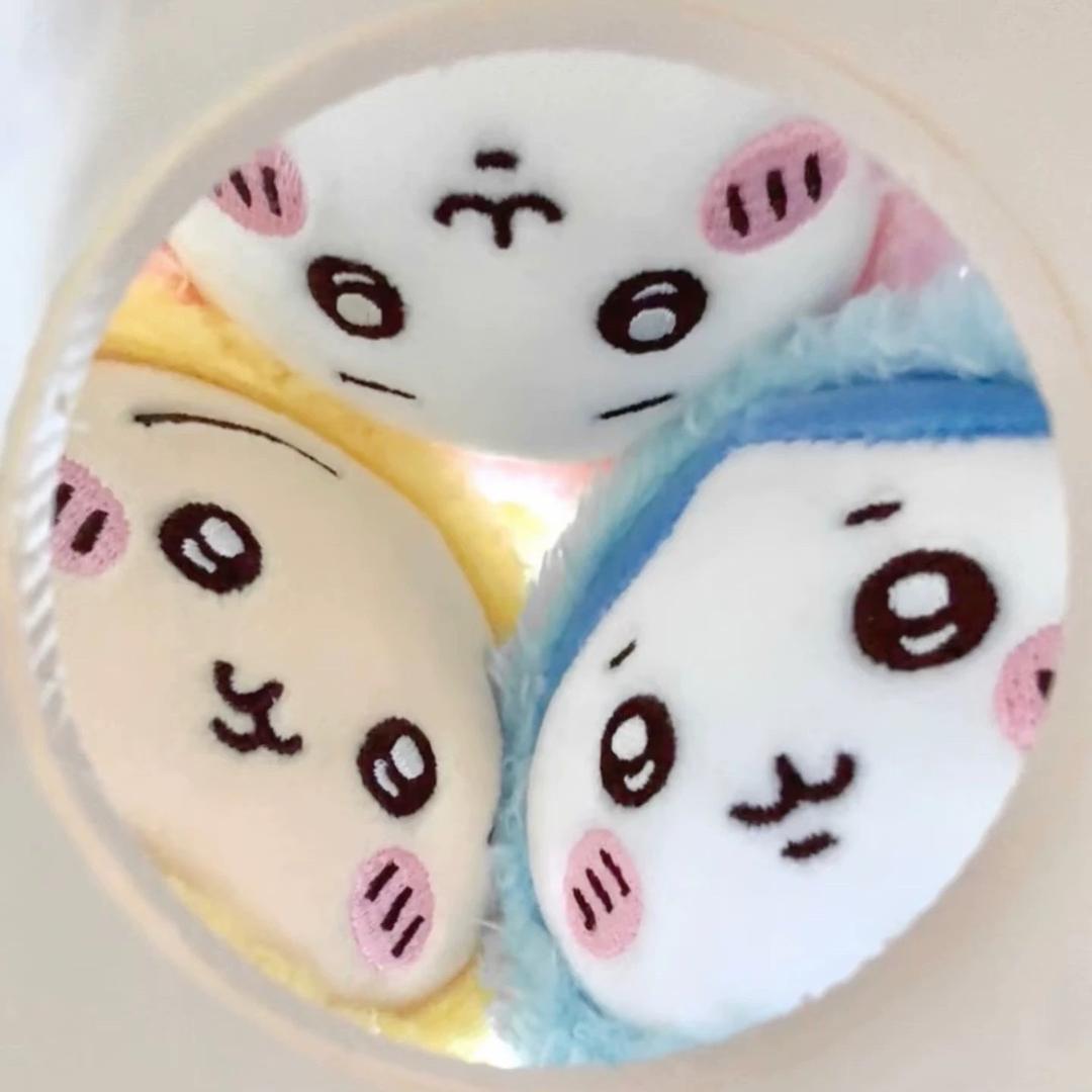 椰子壳壳