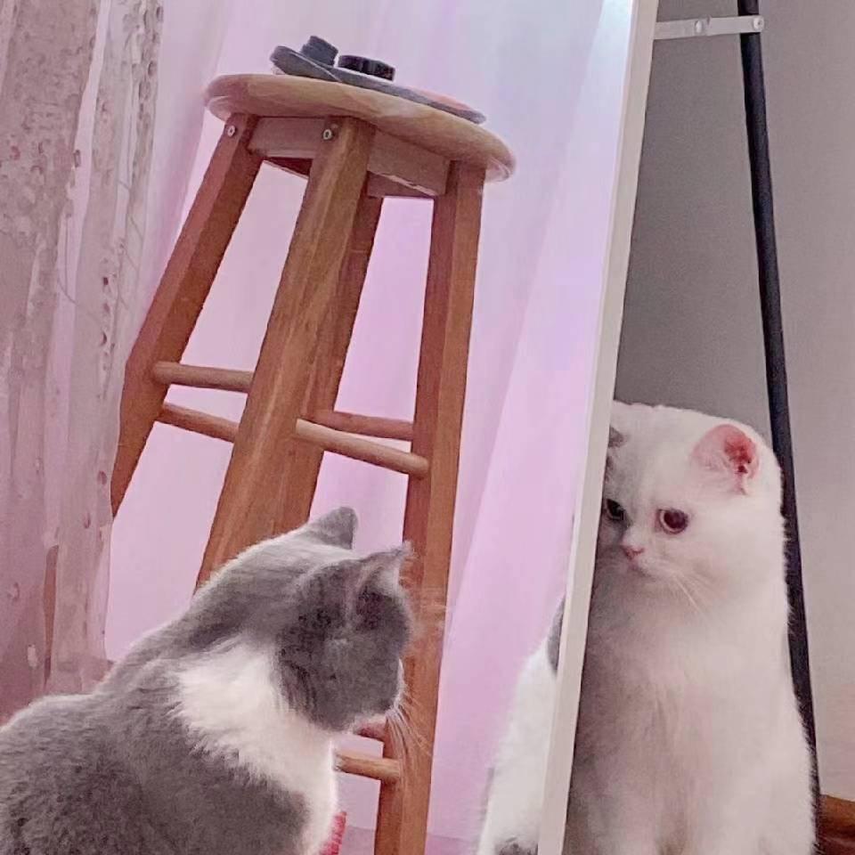 欧丫欧