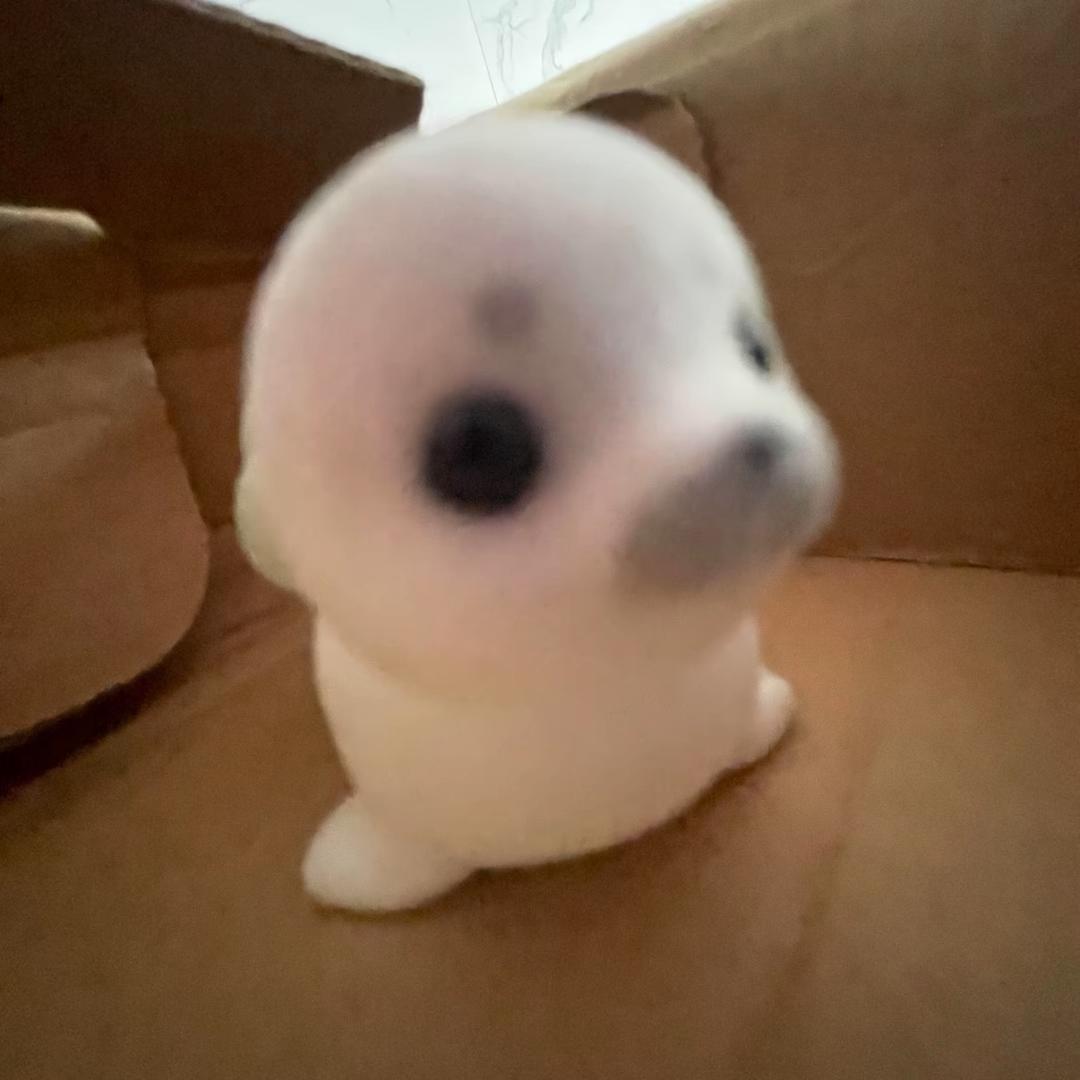 桃桃汽水.