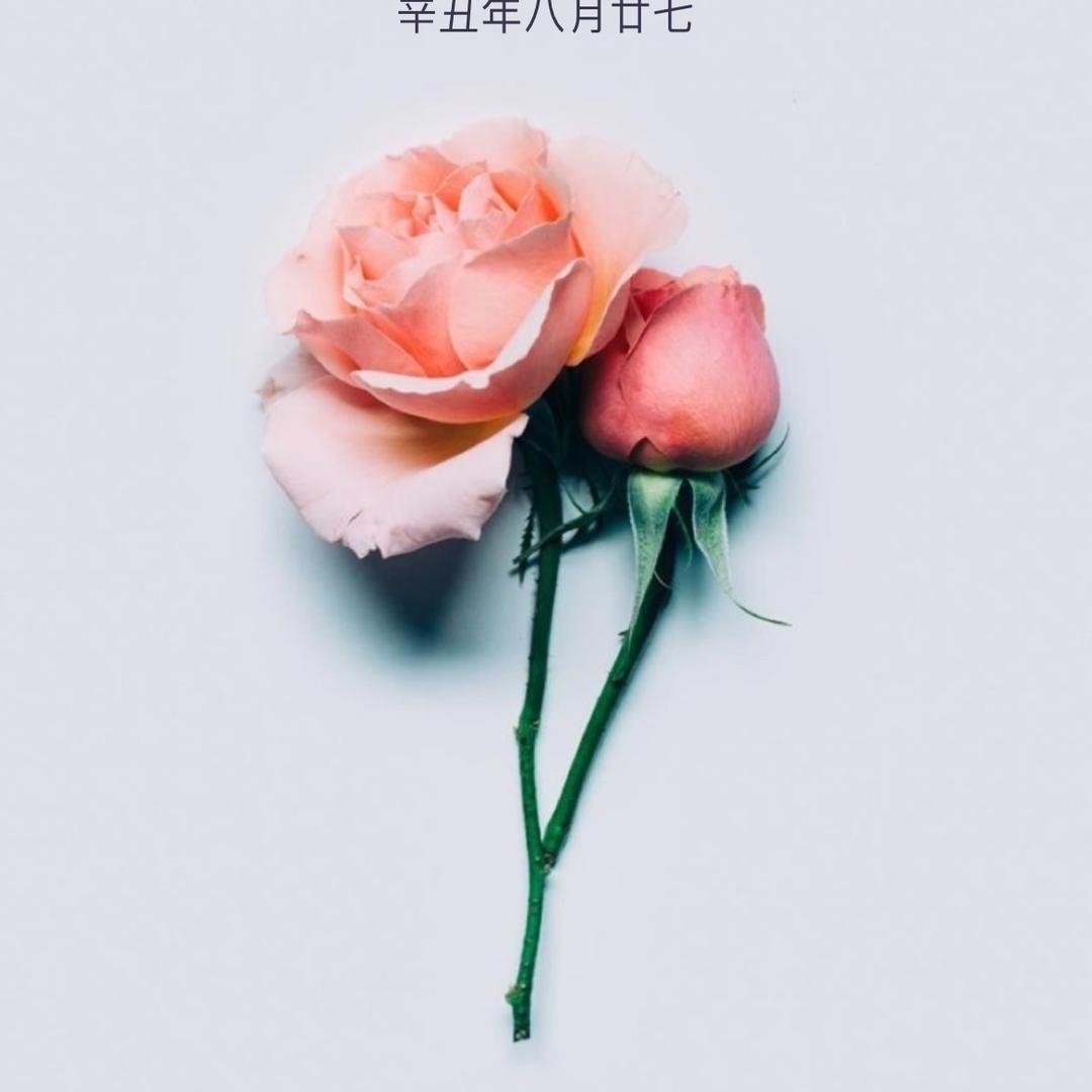 凉悠悠