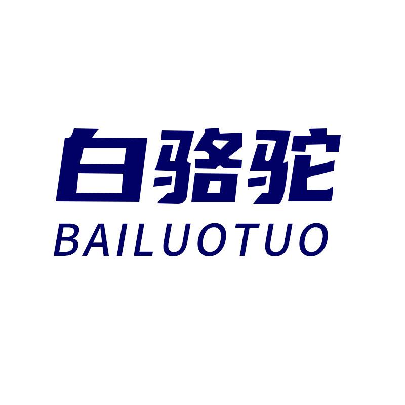 白骆驼贸易汽车零部件专卖店
