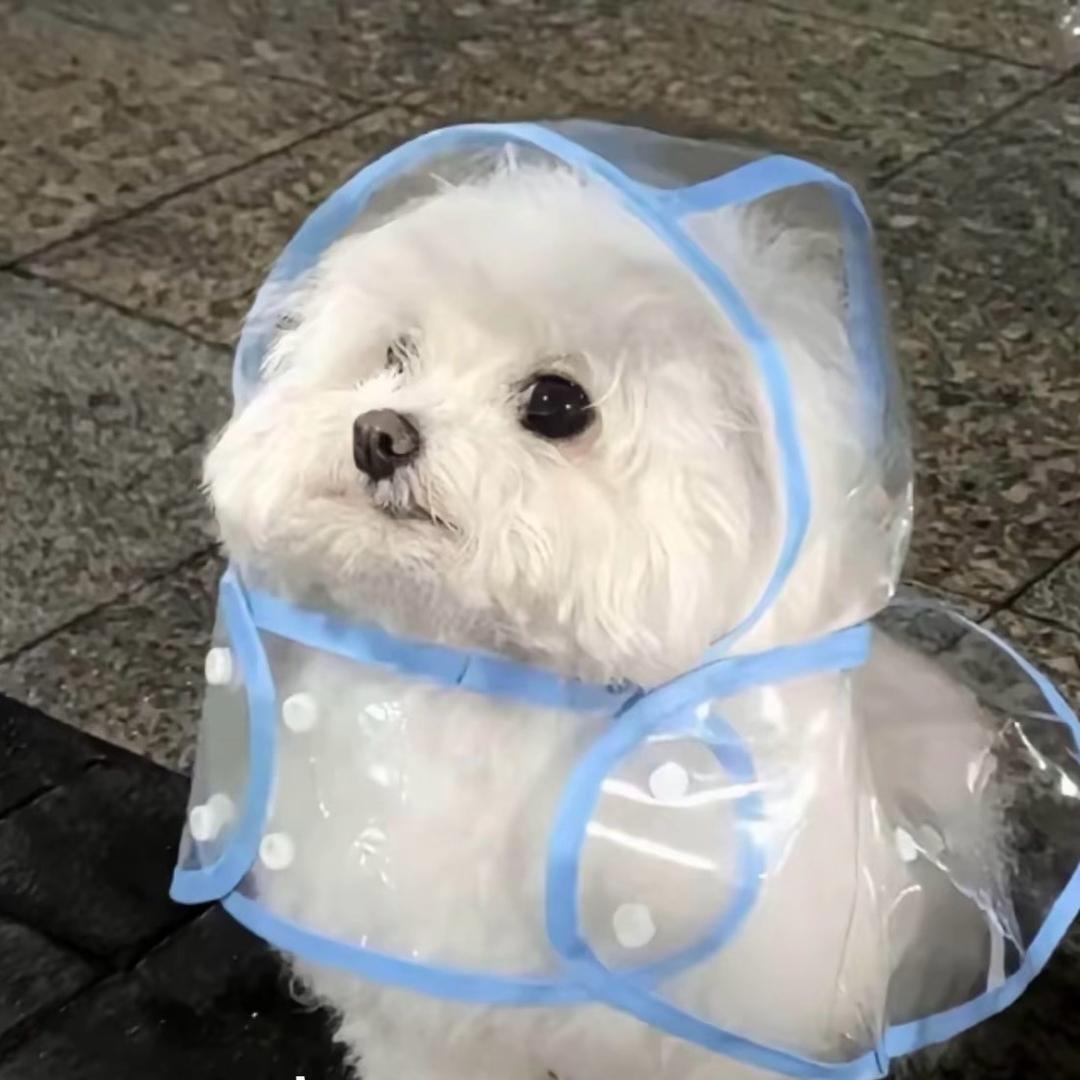 白馒头