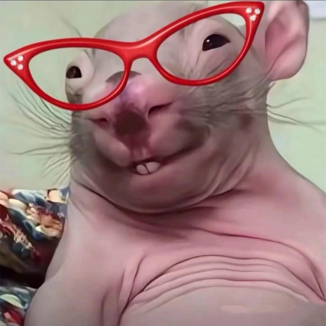 开心的人