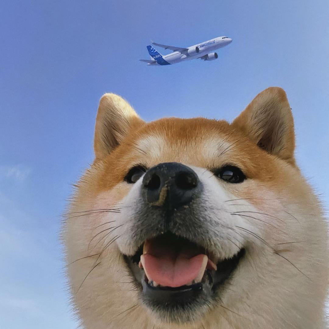 悲欢独自饮