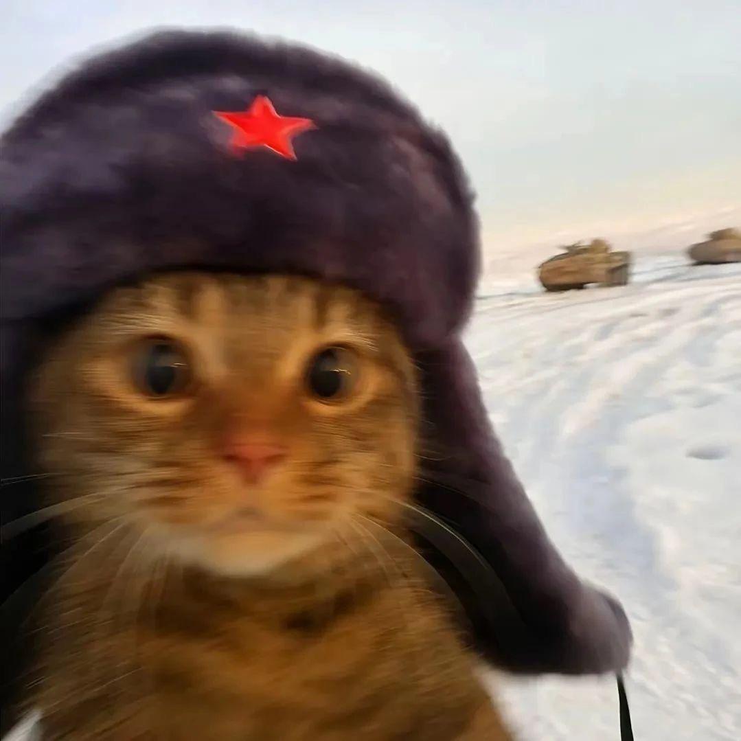 靳